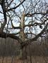 Photo uploaded by <i>Arpi</i> on 05/02/2017