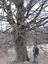 Photo uploaded by <i>Arpi</i> on 05/02/2017