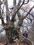 Photo uploaded by <i>Arpi</i> on 05/02/2017