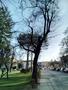 Photo uploaded by <i>THartel</i> on 05/02/2017