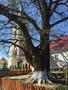 Photo uploaded by <i>ciprian.samoila</i> on 05/02/2017