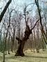 Photo uploaded by <i>THartel</i> on 05/02/2017