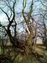 Photo uploaded by <i>THartel</i> on 05/02/2017