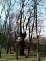 Photo uploaded by <i>THartel</i> on 05/02/2017