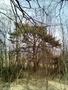 Photo uploaded by <i>THartel</i> on 05/02/2017