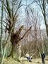 Photo uploaded by <i>THartel</i> on 05/02/2017