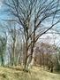 Photo uploaded by <i>THartel</i> on 05/02/2017