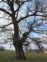 Photo uploaded by <i>Arpi</i> on 05/02/2017