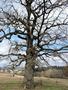 Photo uploaded by <i>Arpi</i> on 05/02/2017