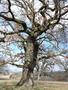 Photo uploaded by <i>Arpi</i> on 05/02/2017
