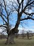 Photo uploaded by <i>Arpi</i> on 05/02/2017