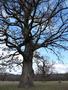 Photo uploaded by <i>Arpi</i> on 05/02/2017