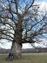 Photo uploaded by <i>Arpi</i> on 05/02/2017
