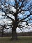 Photo uploaded by <i>Arpi</i> on 05/02/2017