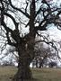 Photo uploaded by <i>Arpi</i> on 05/02/2017