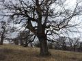 Photo uploaded by <i>Arpi</i> on 05/02/2017