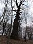 Photo uploaded by <i>Arpi</i> on 05/02/2017