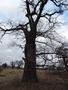 Photo uploaded by <i>Arpi</i> on 05/02/2017