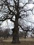 Photo uploaded by <i>Arpi</i> on 05/02/2017