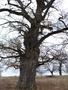Photo uploaded by <i>Arpi</i> on 05/02/2017