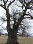 Photo uploaded by <i>Arpi</i> on 05/02/2017