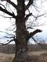 Photo uploaded by <i>Arpi</i> on 05/02/2017