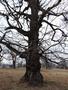 Photo uploaded by <i>Arpi</i> on 05/02/2017