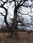 Photo uploaded by <i>Arpi</i> on 05/02/2017