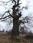 Photo uploaded by <i>Arpi</i> on 05/02/2017