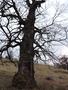 Photo uploaded by <i>Arpi</i> on 05/02/2017
