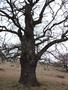 Photo uploaded by <i>Arpi</i> on 05/02/2017