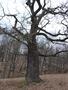 Photo uploaded by <i>Arpi</i> on 05/02/2017