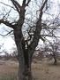 Photo uploaded by <i>Arpi</i> on 05/02/2017