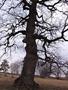 Photo uploaded by <i>Arpi</i> on 05/02/2017