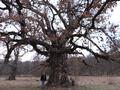 Photo uploaded by <i>Arpi</i> on 05/02/2017