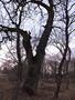 Photo uploaded by <i>Arpi</i> on 05/02/2017