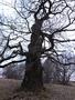 Photo uploaded by <i>Arpi</i> on 05/02/2017