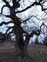 Photo uploaded by <i>Arpi</i> on 05/02/2017