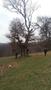 Photo uploaded by <i>TReka</i> on 05/02/2017