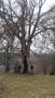 Photo uploaded by <i>TReka</i> on 05/02/2017