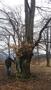 Photo uploaded by <i>TReka</i> on 05/02/2017
