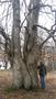 Photo uploaded by <i>TReka</i> on 05/02/2017
