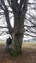 Photo uploaded by <i>TReka</i> on 05/02/2017