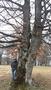 Photo uploaded by <i>TReka</i> on 05/02/2017