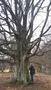 Photo uploaded by <i>TReka</i> on 05/02/2017