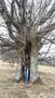 Photo uploaded by <i>TReka</i> on 05/02/2017