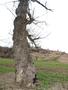 Photo uploaded by <i>Arpi</i> on 05/02/2017