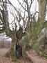 Photo uploaded by <i>Arpi</i> on 05/02/2017