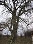 Photo uploaded by <i>Arpi</i> on 05/02/2017