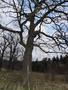 Photo uploaded by <i>Arpi</i> on 05/02/2017